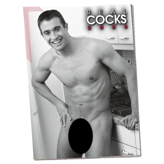 Pin-up Real Cocks 2025 - (1pcs)