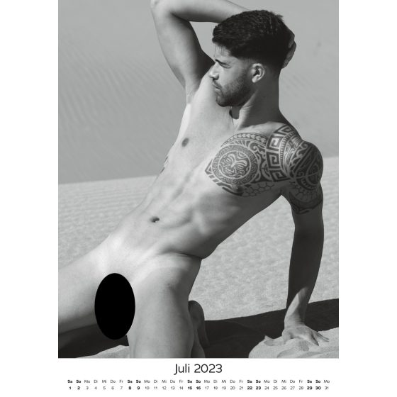 Pin-up Real Cocks 2025 - (1pcs)