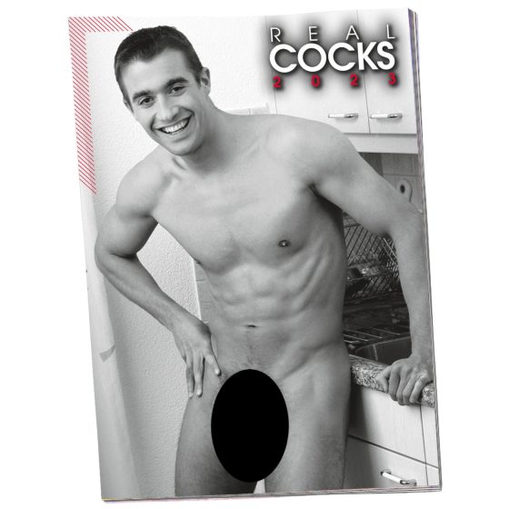 Pin-up Calendar HC Real Cocks - 2025 (10pcs)