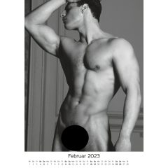 Pin-up Calendar HC Real Cocks - 2025 (10pcs)
