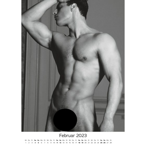Pin-up Calendar HC Real Cocks - 2025 (10pcs)