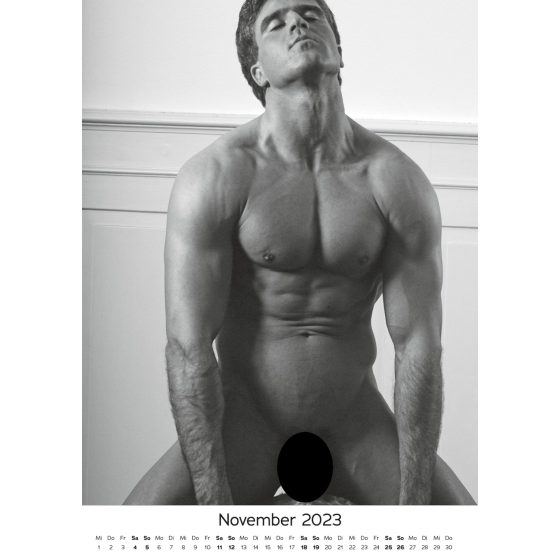 Pin-up Calendar HC Real Cocks - 2025 (10pcs)