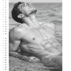 Men 2027 - erotic wall calendar (1 piece)