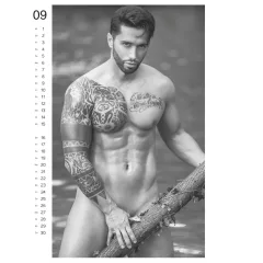 Men 2027 - erotic wall calendar (1 piece)