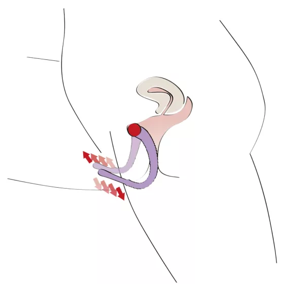You2Toys - Intimate Spreader vaginal speculum