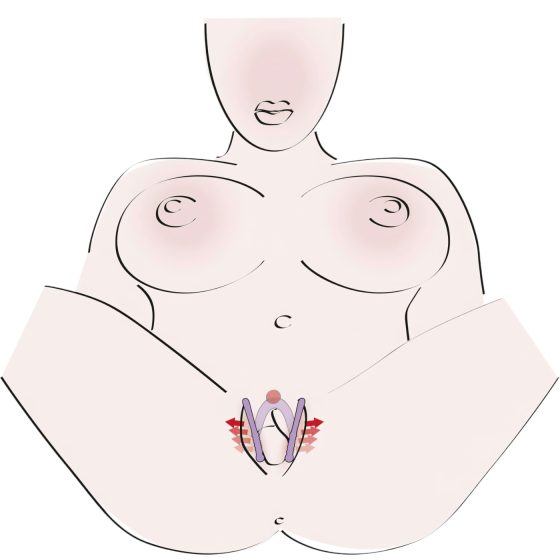 You2Toys - Intimate Spreader Vaginal Expander