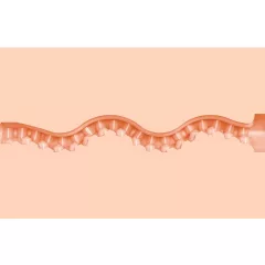 Fleshlight Maitland Ward - Booty Masturbator