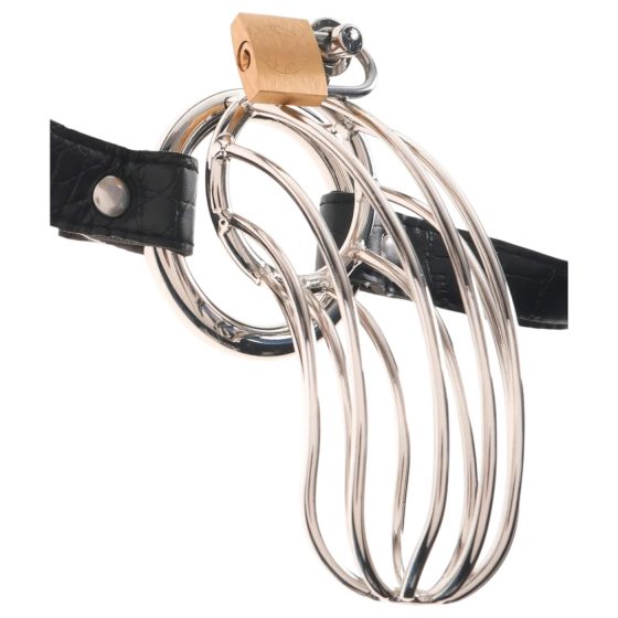 Fetish The Prisoner - Metal Penis Cage (Silver) 