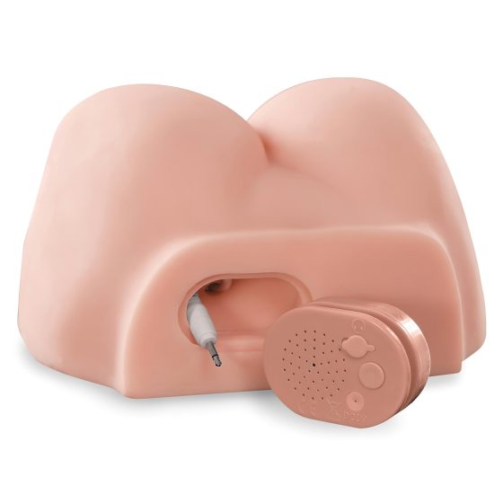 PDX Dirty Talk – Realistic Butt Torso with Dildo (Natural)