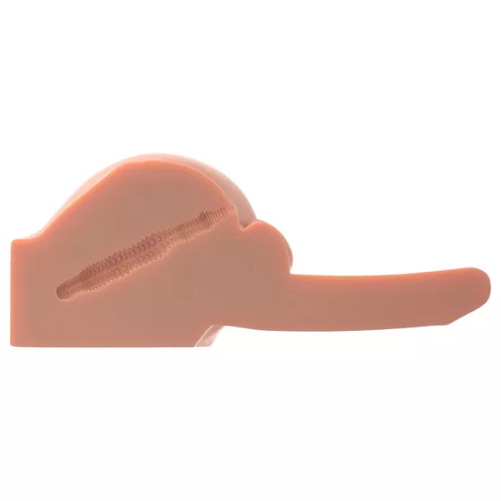 PDX Dirty Talk - Realistic Torso with Dildo (Natural)