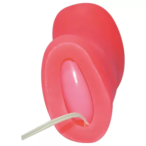 You2Toys - Pure Pleasure Vibrating Vagina