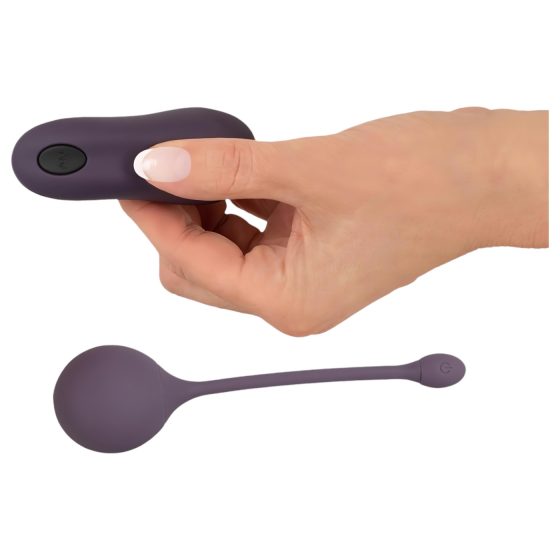 You2Toys RC Vibrating Egg - Purple Delight