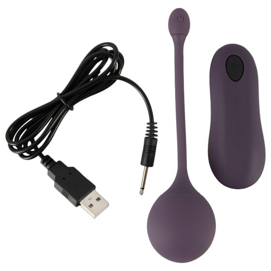 You2Toys RC Vibrating Egg - Purple Delight