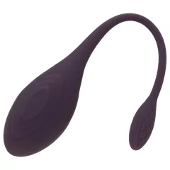 You2Toys RC Love Egg - Rechargeable Vibrating Egg (Purple)