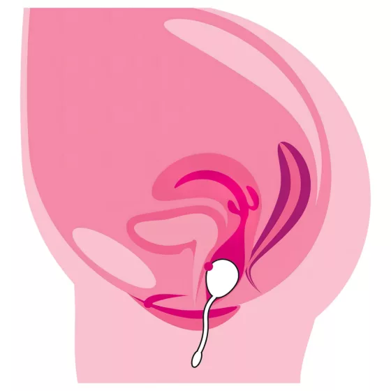 You2Toys RC Love Egg - Rechargeable Vibrating Egg (Purple)