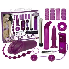 You2Toys - Erotic Surprise - 12-Piece Vibrator Set