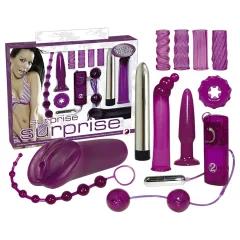 You2Toys - Erotic Surprise - 12-Piece Vibrator Set