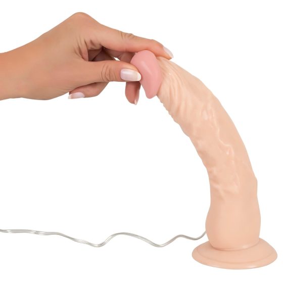 European Lover Vibrator (9)"