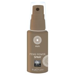 HOT Shiatsu Men's Intimate Stimulation Spray (30ml)