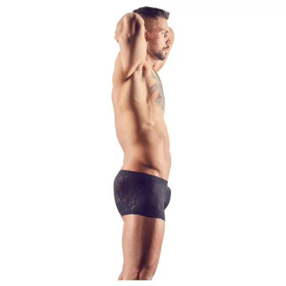Svenjoyment - sheer devoré men's briefs (black) - XL