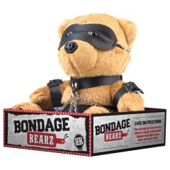 Charlie the Bondage Bear - BDSM Teddy