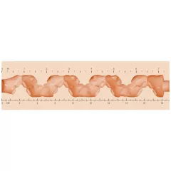 Fleshlight - Fantasy Lexi Amakura vagina (natural)