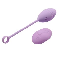   / Lonely Relentless Seeker - rechargeable radio vibrating egg (purple)