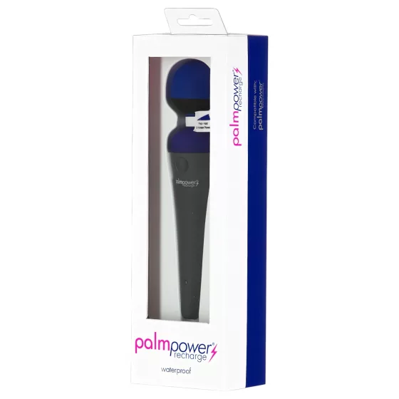 PalmPower Recharge - Cordless Massage Vibrator (Blue) 