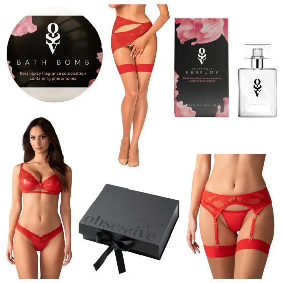 Obsessive Aloisa - Lingerie Gift Set - 6 Pieces (Red) - L/XL