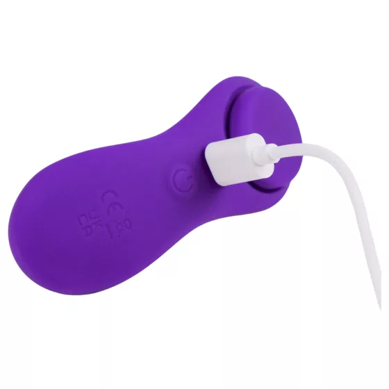 Desirel Confidential - wearable app-controlled knicker vibrator (purple)