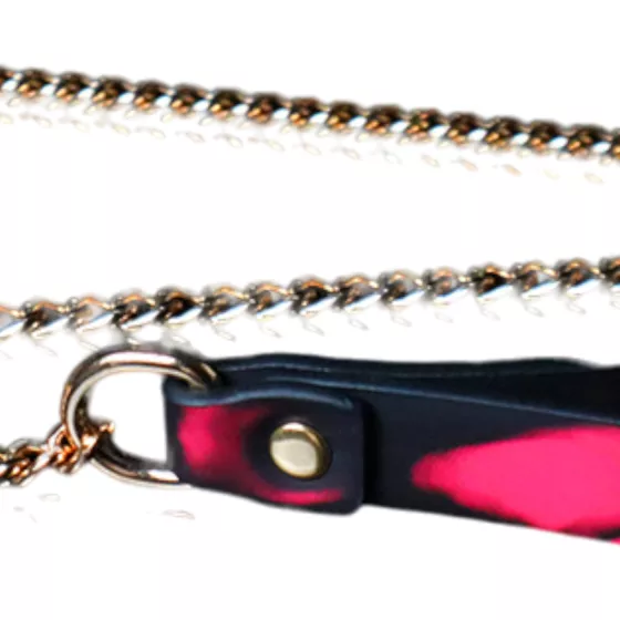 Heatmark Collar with Leash