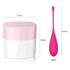 Sex HD Eggs - 6-Piece Geisha Ball Set (Pink)