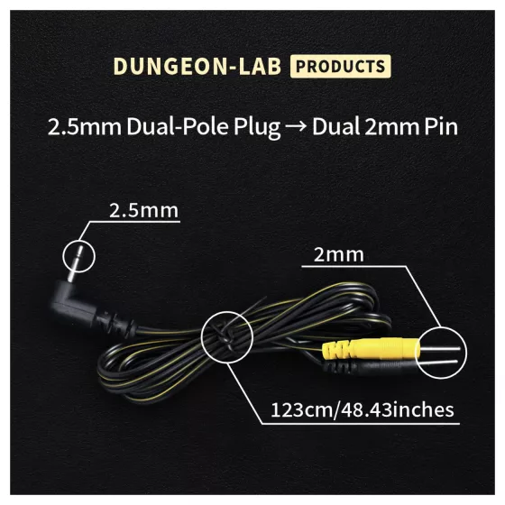 DG-LAB - Electrode cable from 2.5 mm jack to 2 mm pins (black)