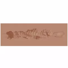 XKIN - artificial mouth masturbator - S (dark natural)