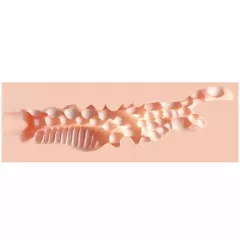   XKIN Amber Blowfield - lifelike artificial vagina masturbator (natural)