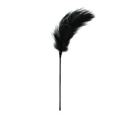 EasyToys - Long Feather Teaser (Black)