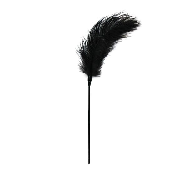 EasyToys - Long Feather Teaser (Black)