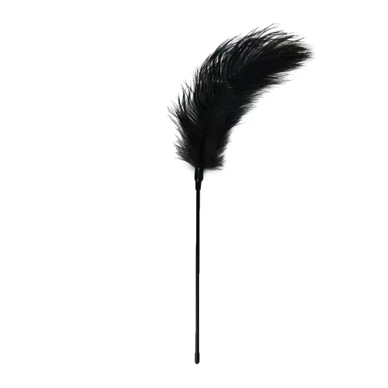 EasyToys - Long Feather Teaser (Black)