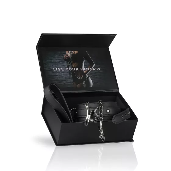 Easytoys - 4-Piece Nipple Clamp, Collar & Leash Set