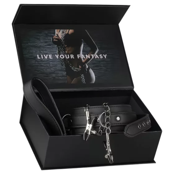 Easytoys - 4-Piece Nipple Clamp, Collar & Leash Set