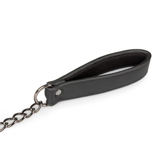 Easytoys - Fetish Collar and Leash Set (Black)
