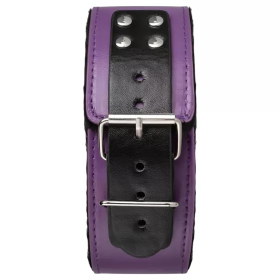 Secret Pleasure Chest - Advanced BDSM Kit (14‑Piece)