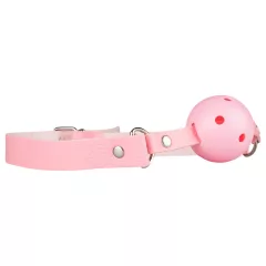 Advanced BDSM Set - 14-Piece Secret Pleasure Chest (Pink)