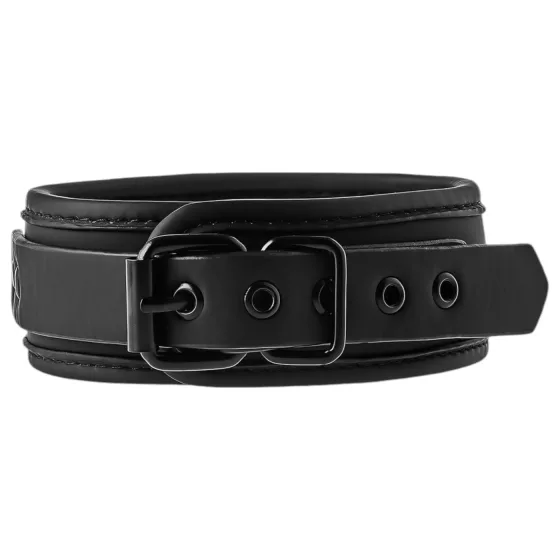 Blaze - Black Collar & Leash Set