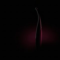 Senzi - Rechargeable, Waterproof Clitoral Vibrator (Red)
