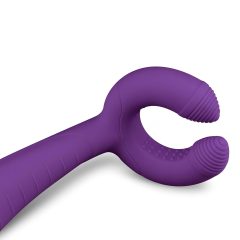   Easytoys Couple - Rechargeable, Waterproof Couple's Vibrator (Purple)