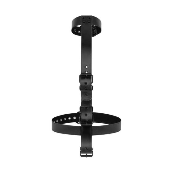 Bedroom Fantasies - body restraint with collar and harness (black)
