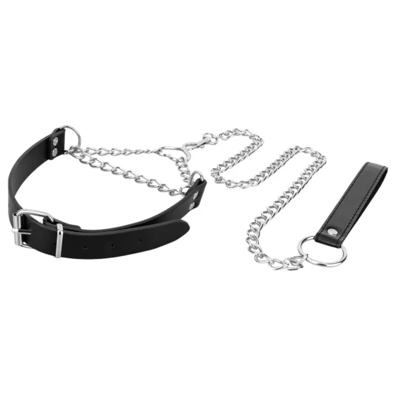 Bedroom Fantasies - collar with leash (black)
