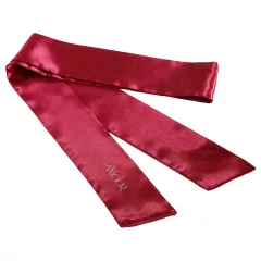 Dreamtoys Amour - wearable knicker vibrator set (red)