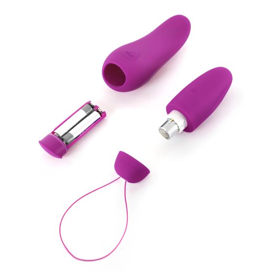/ B SWISH Deluxe - wireless vibrating egg (blackberry)